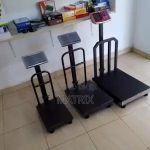 Platform Electric Weighing Scale 300kg