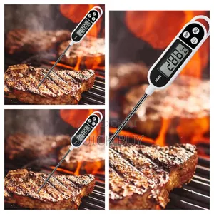 Advanced Food Thermometer
