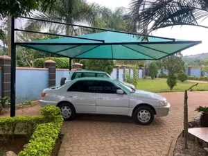 Top Car Shade