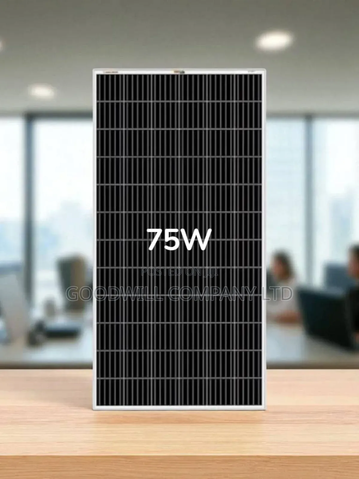 75w Mono Crystalline Solar Panel Green Energy