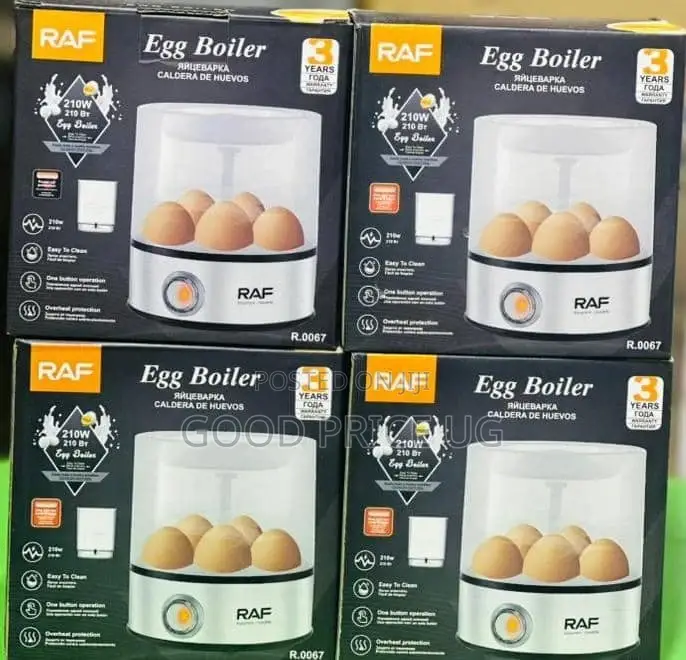 Raf Egg Boiler 210w