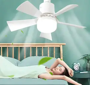 Electric Bulb With Fan and Remote