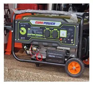 4.5kva Rated Petrol Generator