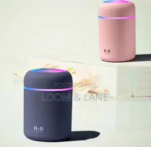 400ml H20 Electric Humidifier