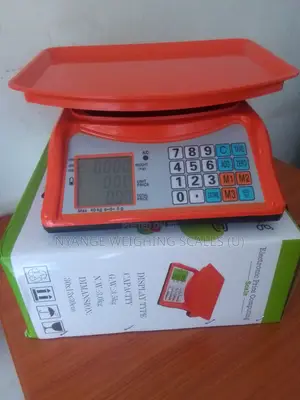 Best Price Restaurant Weighing Scale 40kg Kitchen Weigh Scal