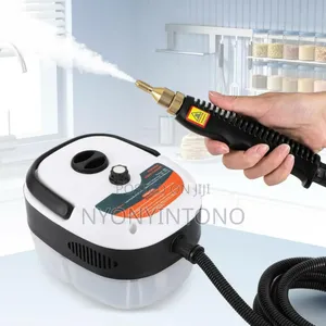 Portable High Power Steam Cleaner