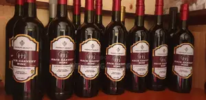 Wine for Every Mood – Bulk Orders Accepted!