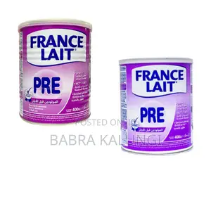 France Lait Pre Formula 400g