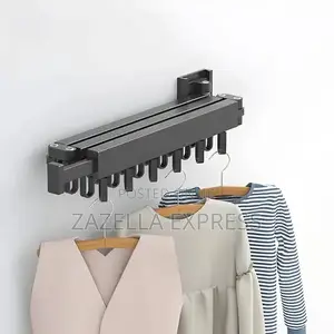 Wall Mounted Hanger