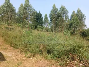Two Acres With Private Mile Land Title on Quicksale Bujjuko