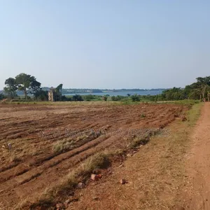 Plots With Million View of Lake Quicksale of Kawuku Ntebe Rd
