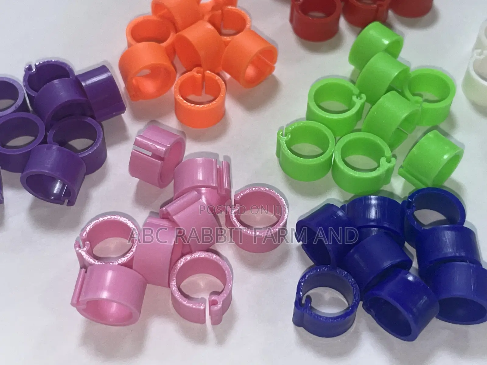 56pcs 8mm Pigeons Ring for Leg Band Multicolor