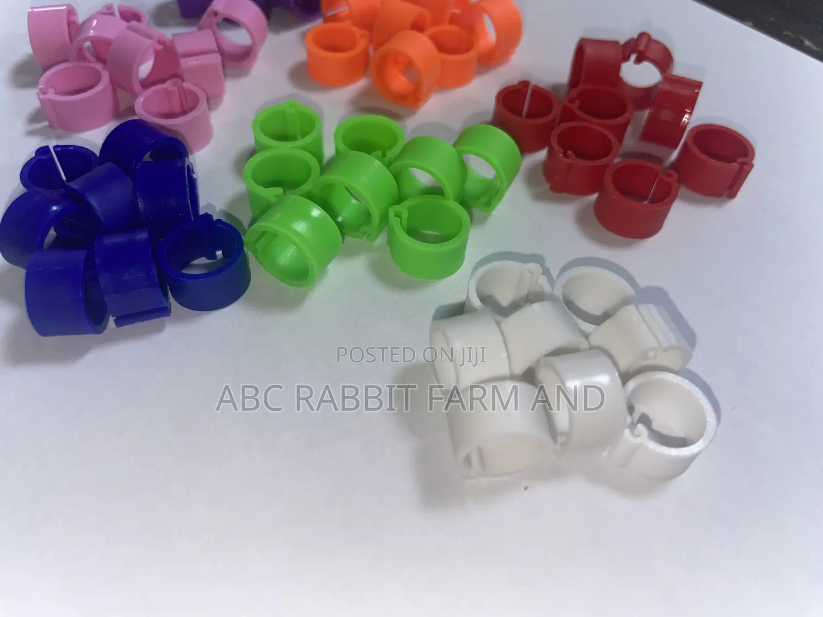 56pcs 8mm Pigeons Ring for Leg Band Multicolor