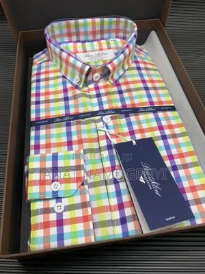 Ben Silver Checked Shirt