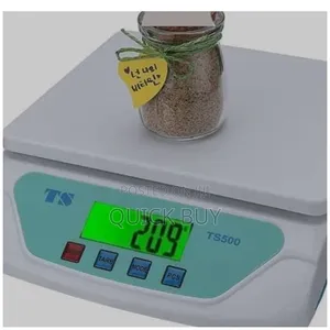 New Ts 500 Scale