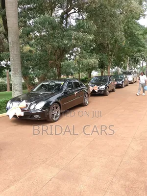 Benz for Hire. Executive Drives, Airport Pick Ups, Weddings