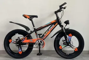 Aslong Bicycle Orange Size 20 10 Years Plus
