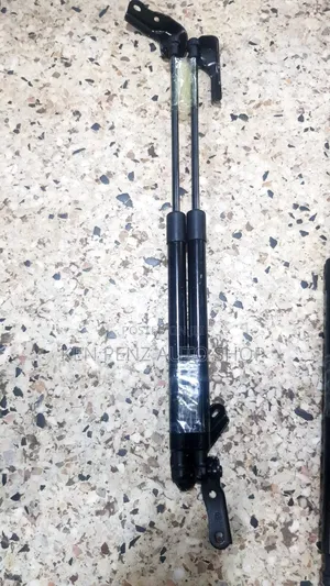 Boot Struts for Toyota Wish Ordinary