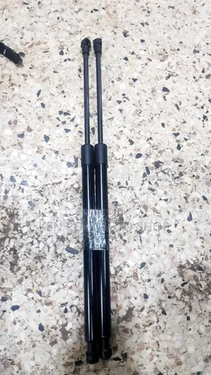 Shock Struts for Wish 2012