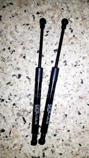 Shock Struts for Mark X on the Boot
