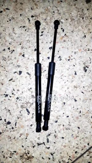 Shock Struts for Mark X on the Boot