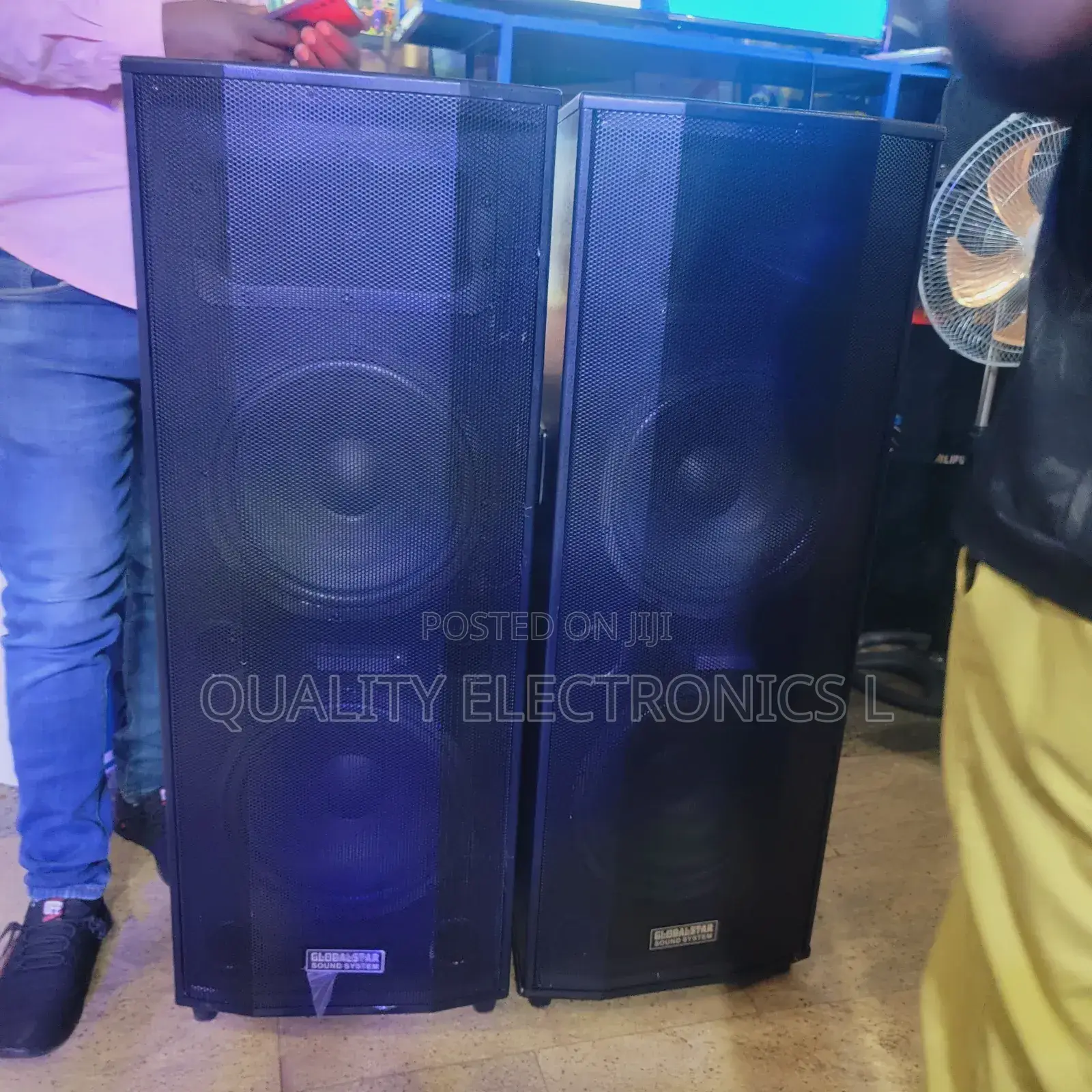 Globalstar Full Range Speakers