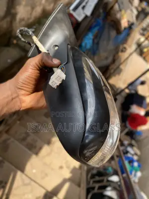 Side Mirrors With Indicator