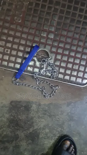 Dog Puppy Chains