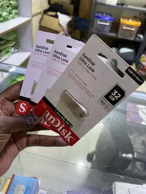 32gb Sandisk Flash Drives