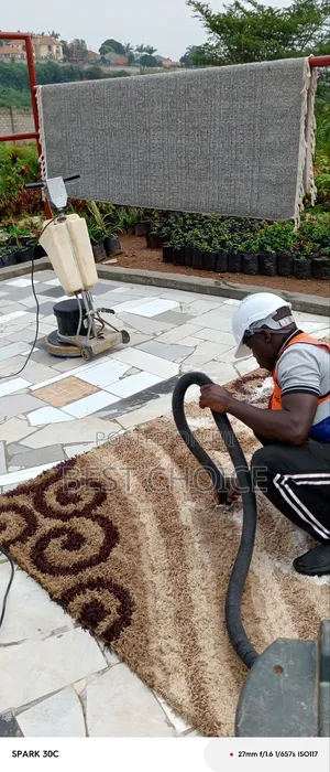 Carpet Cleaning From Dirty to Clean in No Time