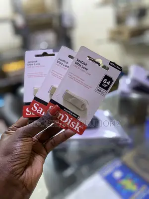 64gb Sandisk Flash Drives