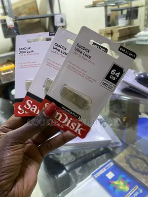 64gb Sandisk Flash Drives