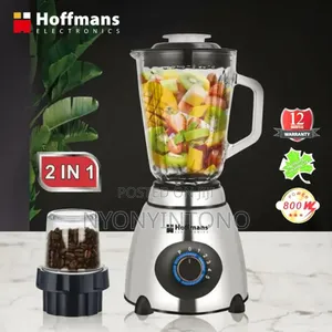 Hoffmans 2 in 1 Glass Blender