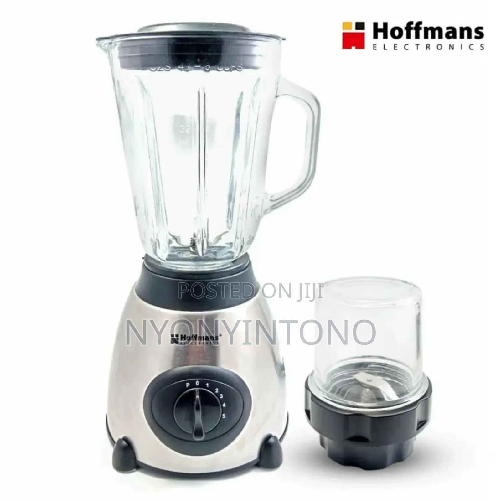 Hoffmans 2 in 1 Glass Blender
