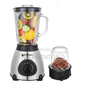 Hoffmans 2 in 1 Glass Blender