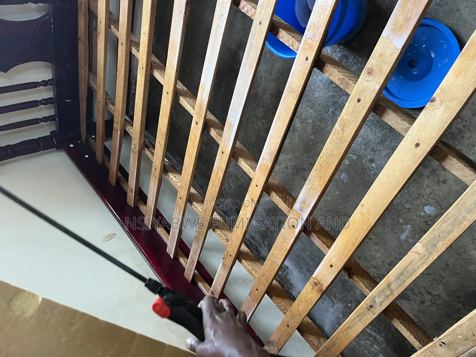 No Smell Bedbug Fumigation Services –