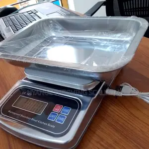 Weighing Scale Stainless Steal Weigh Food, Spice Fruit Weigh Scale