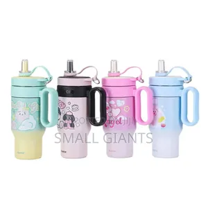 Insulated Thermos Water Bottles With Built-in Straws