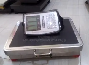Bluetooth Weigh Floor Kitchen Weighing Scale 400kg Food Weighing Scale