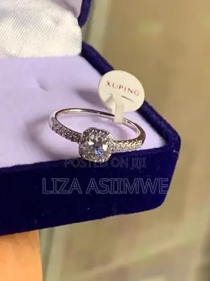 Sparkle on a Budget:The Affordability and Brilliance