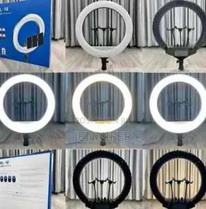 18-Inch Super Bright Ring Light System With a Stand