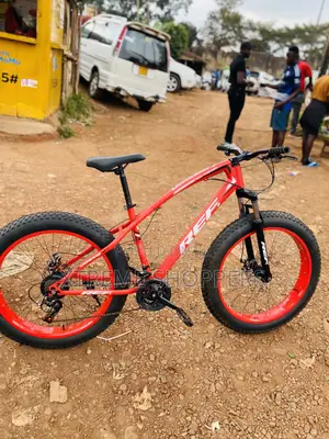 Living Raw / Bicycle/Bike /Big Fat Tyre