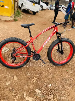 Living Raw / Bicycle/Bike /Big Fat Tyre