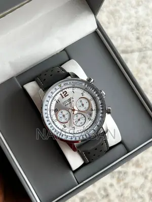 Citizen Original Chronographic Watches