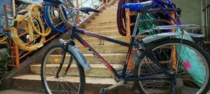 Bicycle Size 26 B