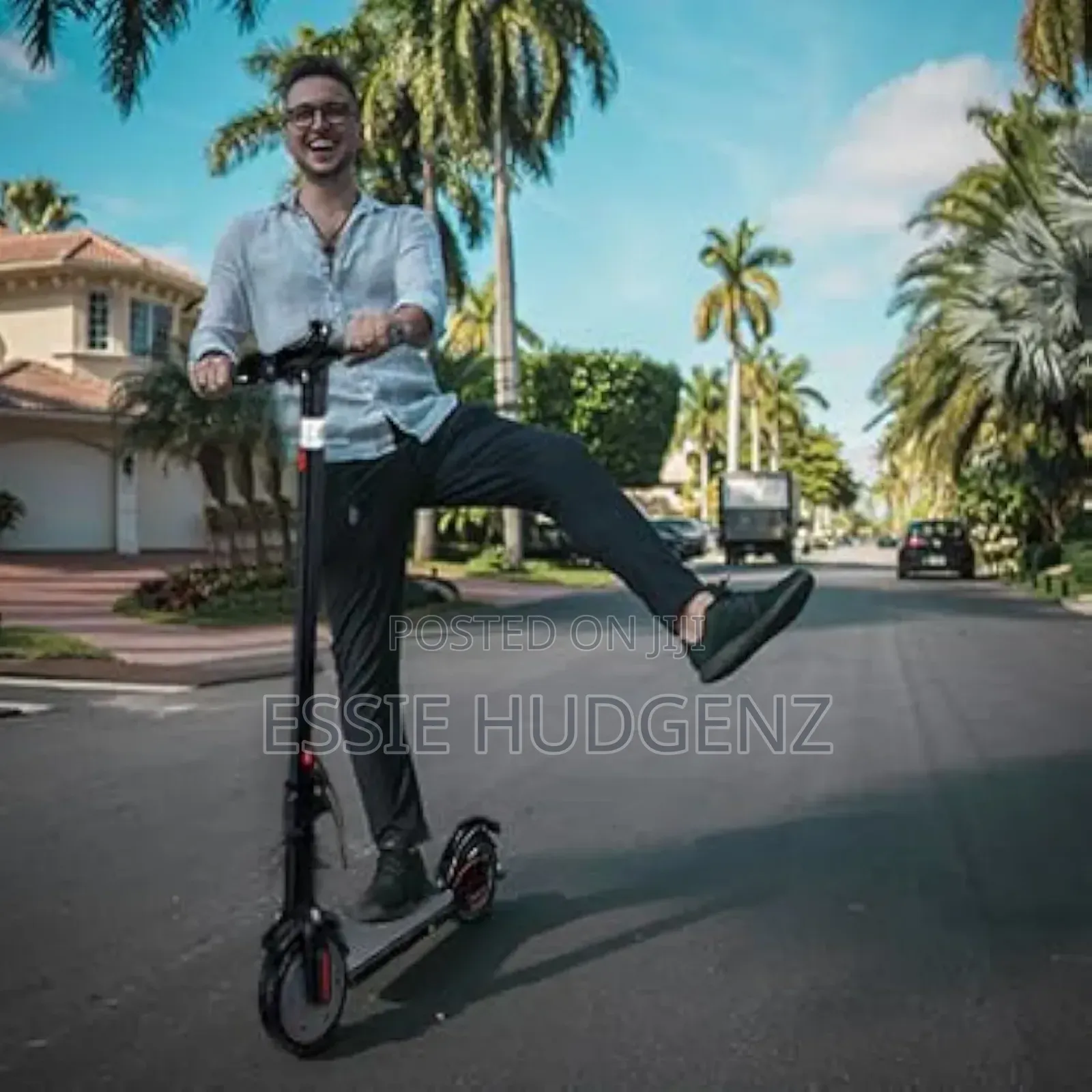 Electric Scooter