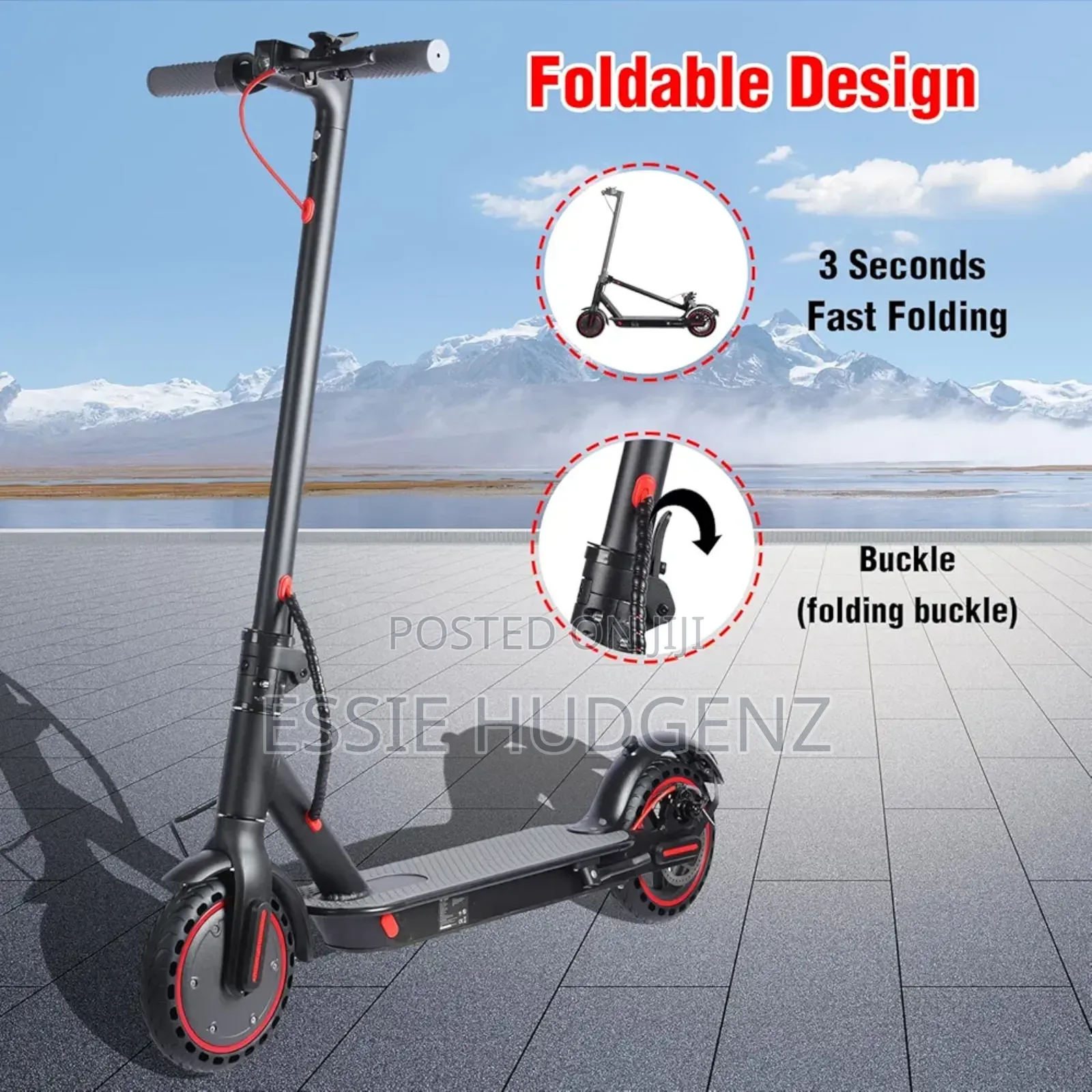 Electric Scooter