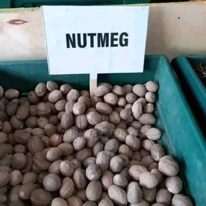Nutmeg Seeds Per Kilo Gram