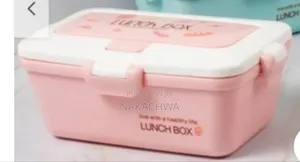 Kids Food Storage Lunch Box Container