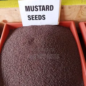 Mustard Seeds Per Kg